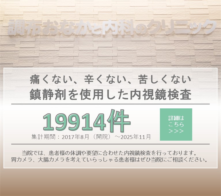 鎮静下内視鏡検査（胃カメラ・大腸カメラ）の案内と、累計19,691件（2017年8月〜2025年11月）／月平均約191件を掲載したバナー画像