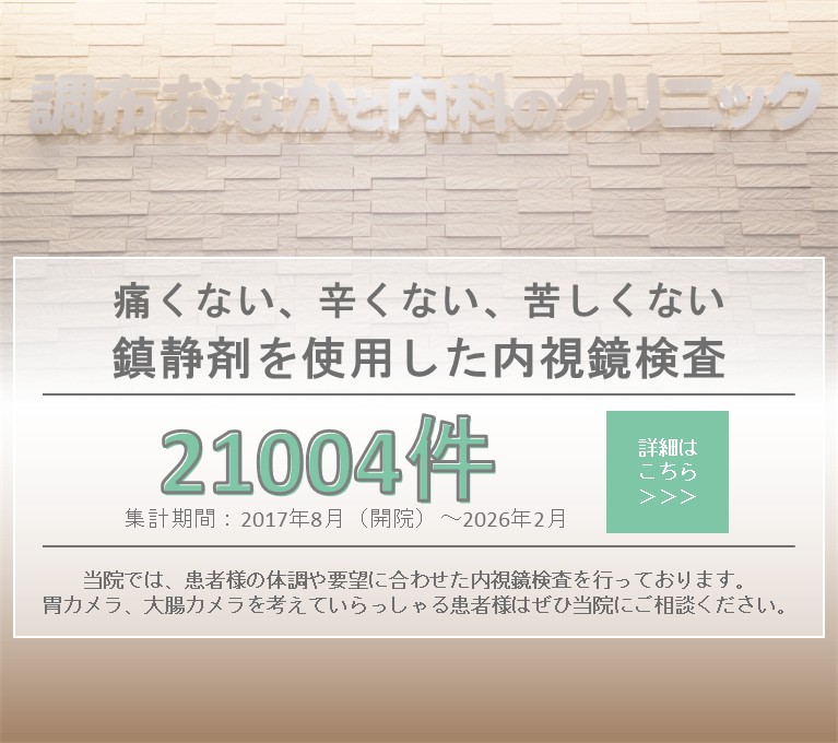 鎮静下内視鏡検査（胃カメラ・大腸カメラ）の案内と、累計21,004件（2017年8月〜2026年2月）／月平均約204件を掲載したバナー画像