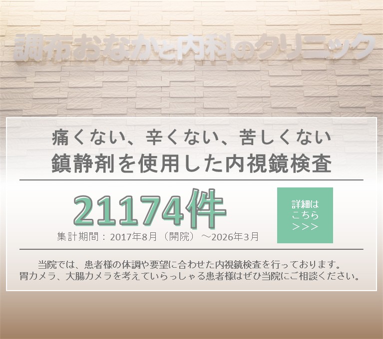 鎮静下内視鏡検査（胃カメラ・大腸カメラ）の案内と、累計21,174件（2017年8月〜2026年3月）／月平均約204件を掲載したバナー画像