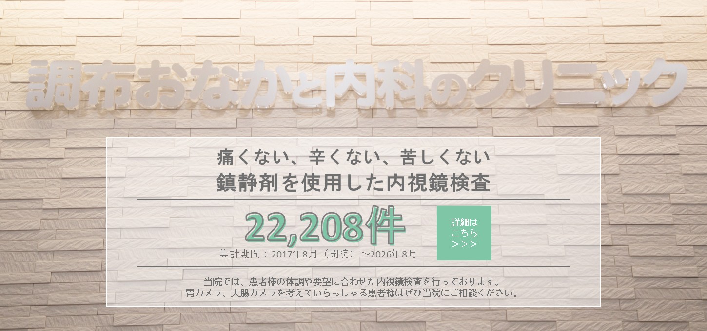 鎮静下内視鏡検査（胃カメラ・大腸カメラ）の案内と、累計22,208件（2017年8月〜2026年8月）／月平均約204件を掲載したバナー画像